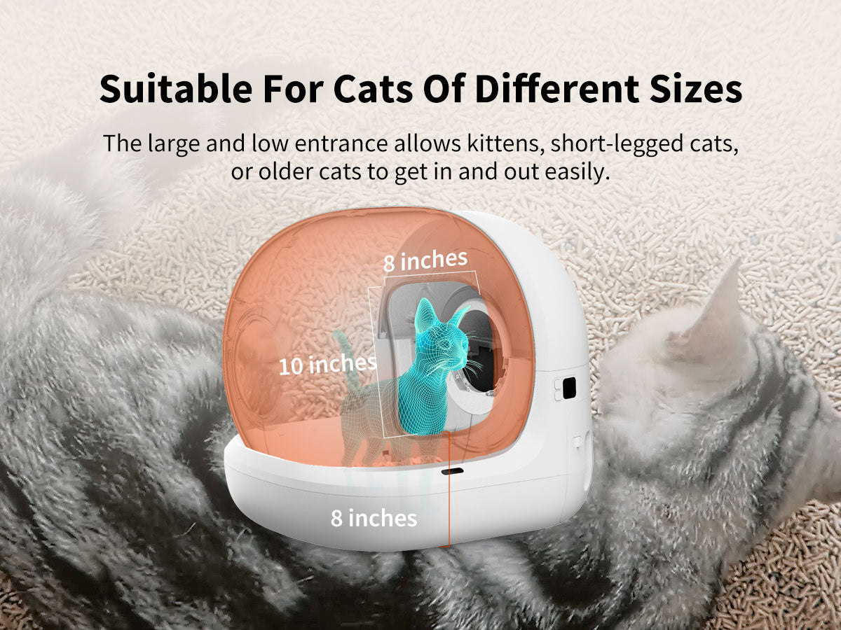 PETKIT Pura Max