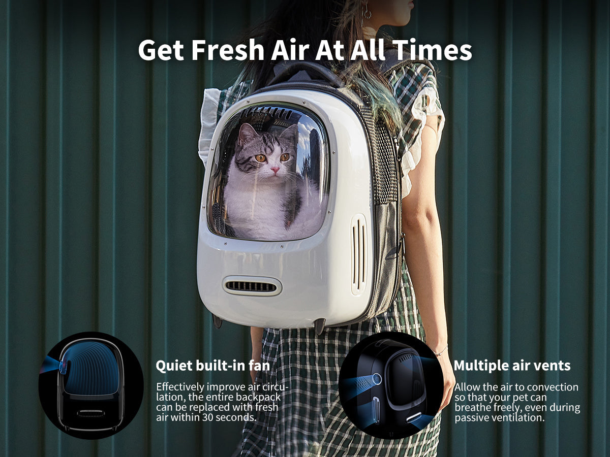 PETKIT Breezy Dome