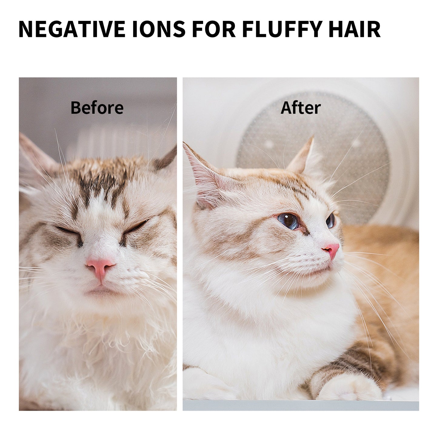 PETKIT AirSalon Max & Max PRO