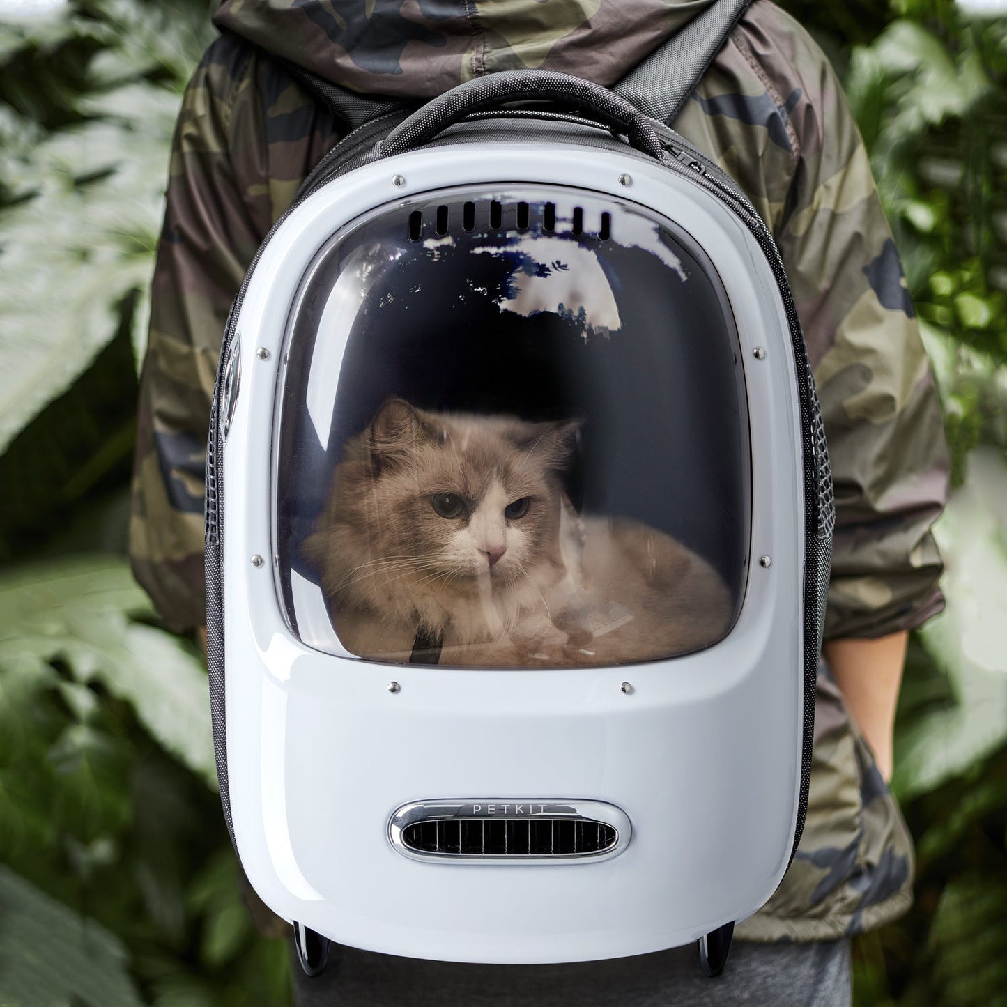 PETKIT Breezy Dome - Innovative design for optimal pet comfort and ventilation