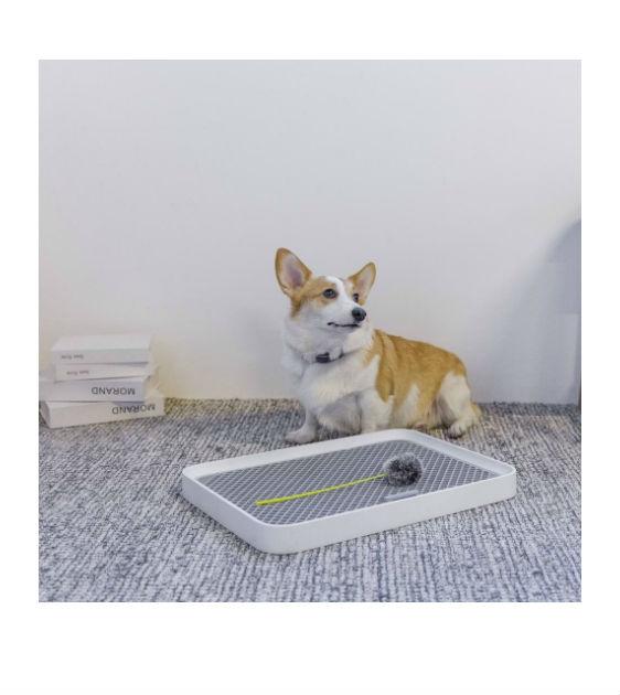 PURA DOG Training Pee Tray