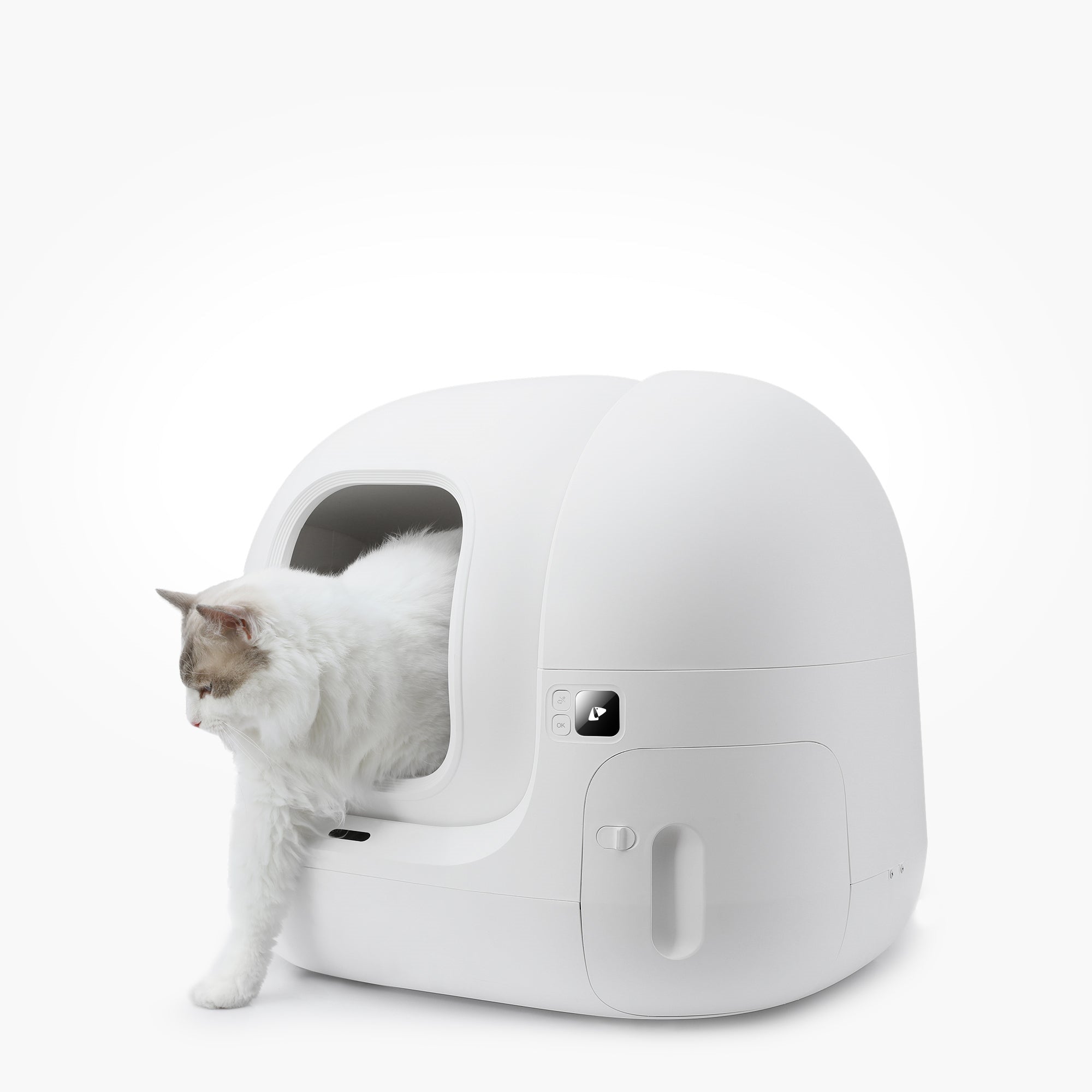 Clean Kit Chat Clean – PETKIT Canada