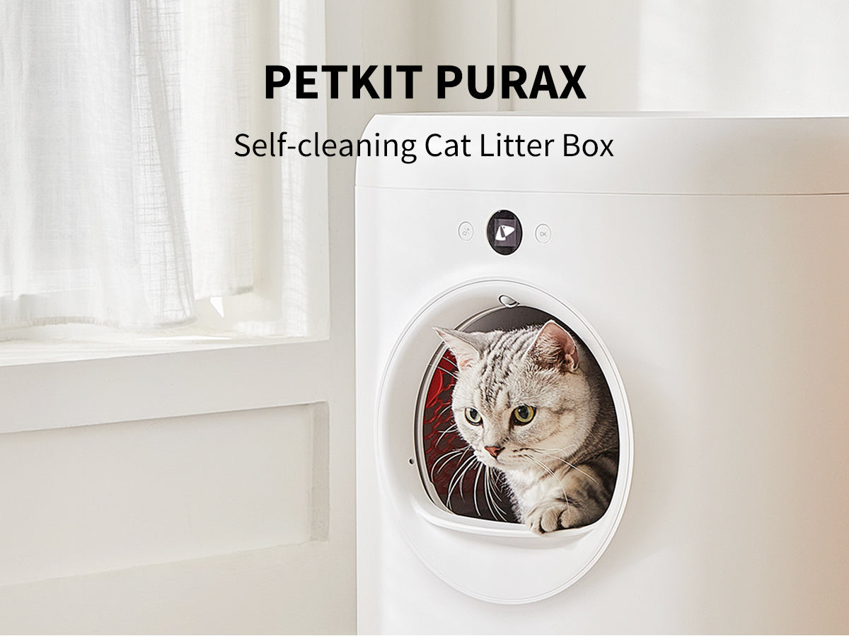 Self cleaning litter outlet box canada