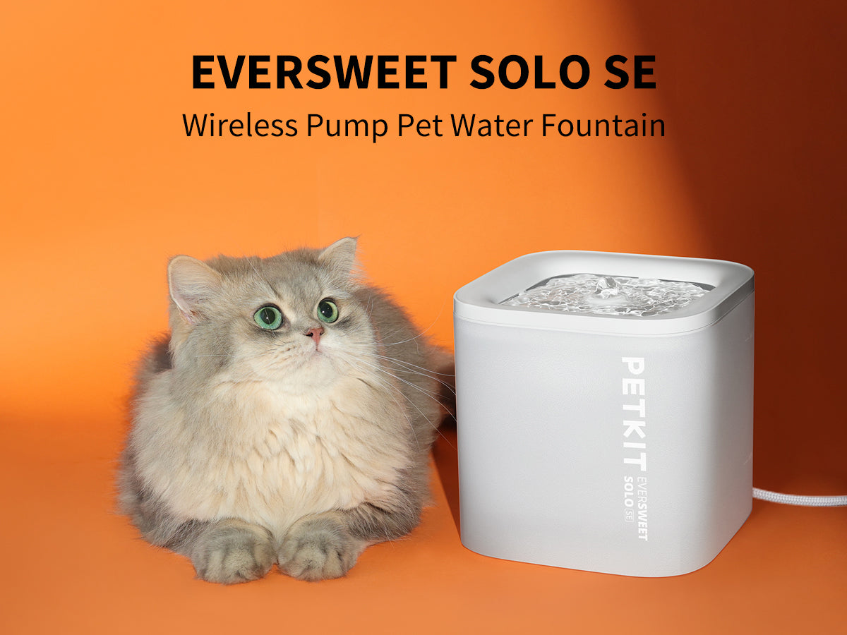 PETKIT Eversweet Solo SE (Wireless Pump)