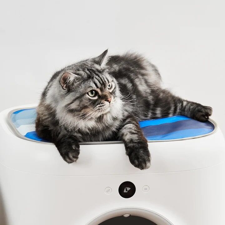 PETKIT Cooling Mat