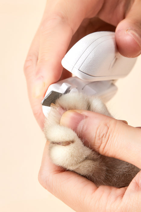 Illuminated sales nail clipper