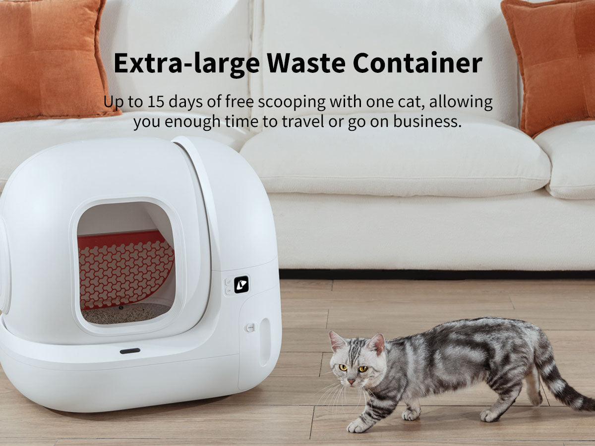 Extra large on sale litter box canada