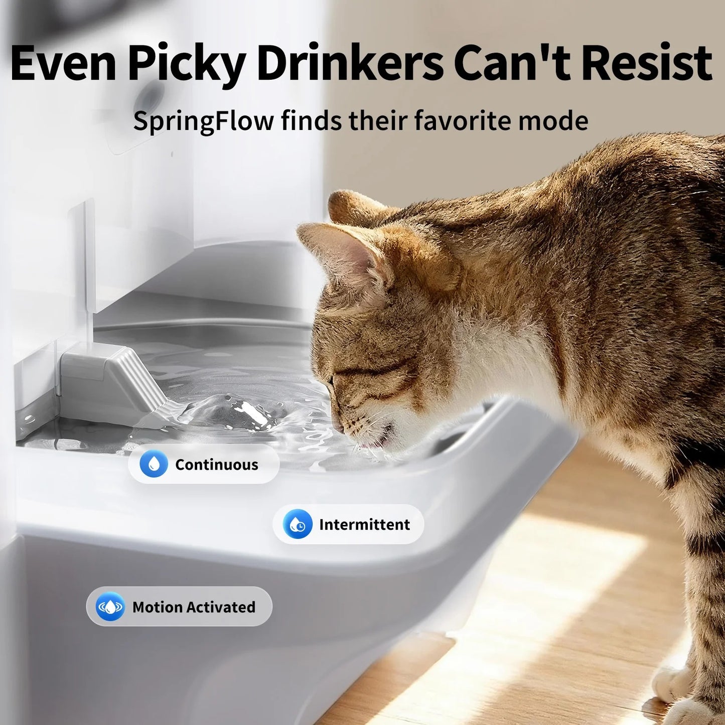 EverSweet Ultra with Camera Pet Water Fountain
