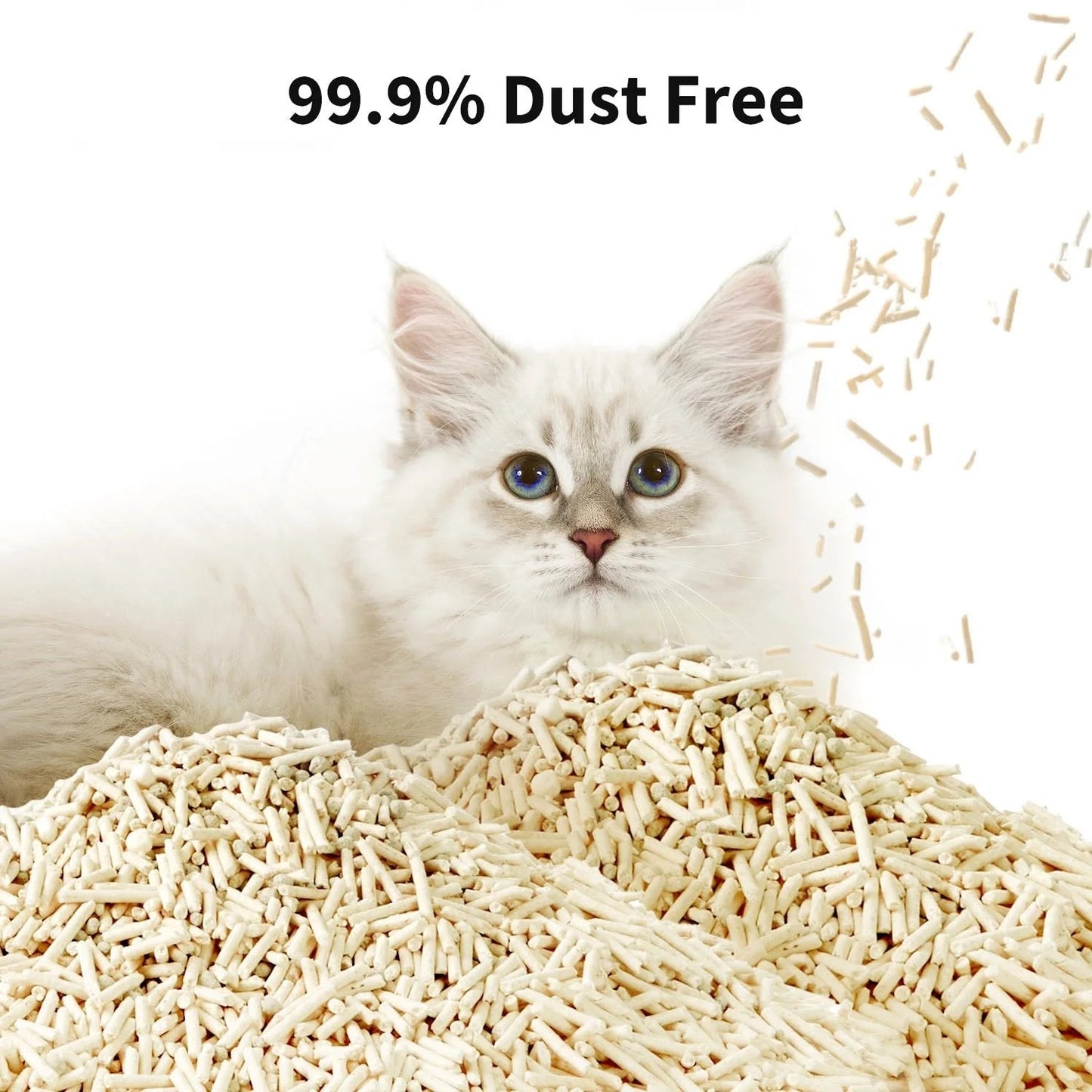 Occult Blood Test Mixed Cat Litter - 4 Bags